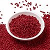 MIYUKI Round Rocailles Beads X-SEED-G008-RR0408-2