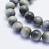 Natural Hawk's Eye Beads Strands G-L478-02-8mm-2