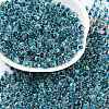 Transparent Inside Colours Glass Seed Beads SEED-A032-04E-1