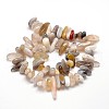 Natural Botswana Agate Nuggets Beads Strands G-E271-04-2