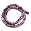 Natural Lepidolite/Purple Mica Stone Beads Strands G-F792-B01-3