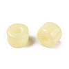 Opaque Baking Paint Glass Seed Beads SEED-T008-02B-4
