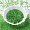MIYUKI Delica Beads SEED-X0054-DB1106-2