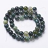 Natural Moss Agate Round Bead Strands G-N0120-30-4mm-2