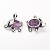 Natural Amethyst Pendants G-G713-E12-2