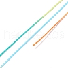 Segment Dyed Polyester Thread NWIR-I013-E-20-3