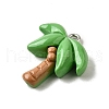 Summer Theme Resin Pendants CRES-D307-09P-C-2