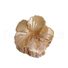 Resin Claw Hair Clips PW-WGF93C7-05-1