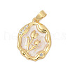 Brass Micro Pave Cubic Zirconia Pendants KK-U068-10G-01-1