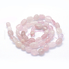 Natural Rose Quartz Beads Strands G-K230-12-2