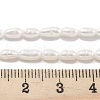 Natural Cultured Freshwater Pearl Beads Strands PEAR-P062-01E-5
