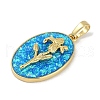 Rack Plating Brass Pendants KK-U032-91G-03-2