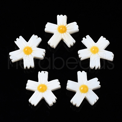 Natural Freshwater Shell Beads SHEL-N003-19A-1