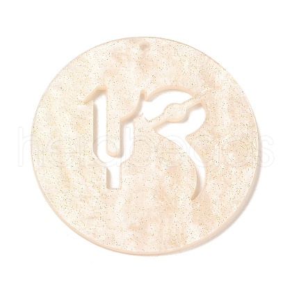 Acrylic Pendants SACR-S680-06F-1