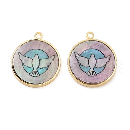 Alloy Pave Shell Flat Round Pendants FIND-C073-01G-02-1