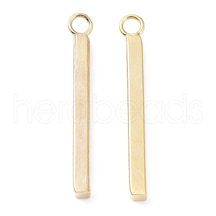 304 Stainless Steel Pendants STAS-P327-09B-G-1