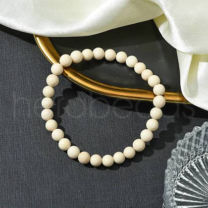 Natural Fossil Beads Stretch Bracelets for Women Men BJEW-JB11349-1