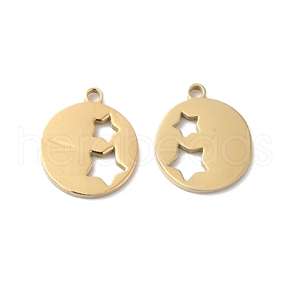 Ion Plating(IP) 316L Surgical Stainless Steel Charms STAS-H213-78G-1
