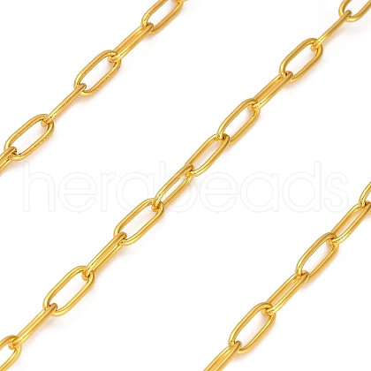 Stainless Steel Oval Paperclip Chains CHS-G040-01A-G-1