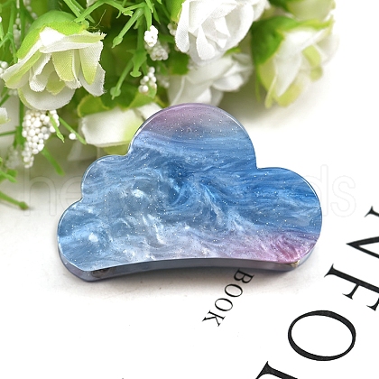 Acrylic Claw Hair Clips PW-WG6BF5C-03-1