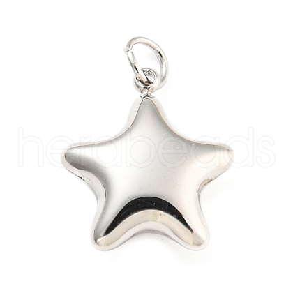 Non-Tarnish 304 Stainless Steel Charms STAS-P333-07P-1