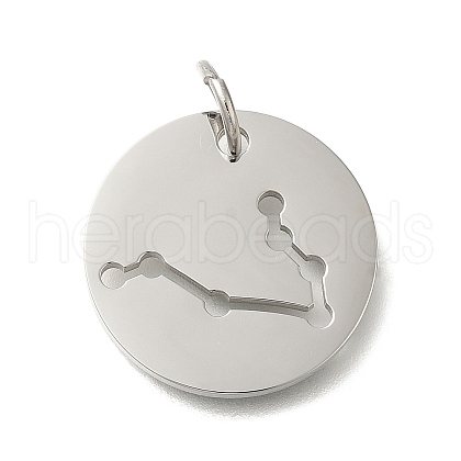 Anti-Tarnish 304 Stainless Steel Pendants STAS-M074-02F-P-1