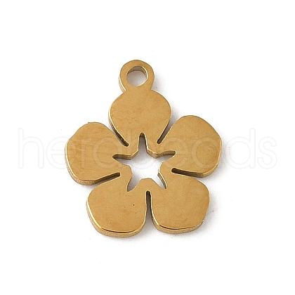 304 Stainless Steel Charms STAS-G355-15G-1
