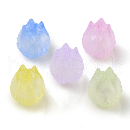 Transparent Acrylic Beads OACR-K005-13-1