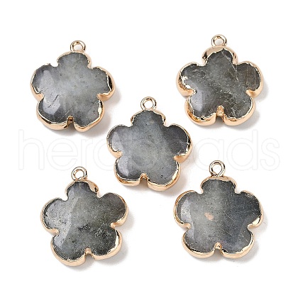 Natural Labradorite Pendants G-P566-01G-08-1