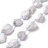 Natural Howlite Beads Strands G-B024-07-1