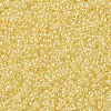 MIYUKI Round Rocailles Beads X-SEED-G007-RR0273-3