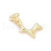 Brass Pendants KK-U062-40G-2