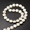 Natural Trochid Shell/Trochus Shell Beads Strands SSHEL-K010-03-2