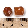 Natural Carnelian(Dyed & Heated) Beads G-G109-01C-3