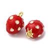 Brass Enamel Charms KK-I276-27G-01-2