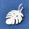 925 Sterling Silver Pendants STER-F059-09S-02-2
