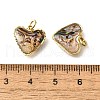Natural Paua Shell & Epoxy Resin Charms KK-E794-02G-03-3