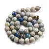Natural Hackmanite Sodalite Beads Strands G-Z063-A03-02-3