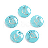 Synthetic Turquoise Charms G-L561-001Q-1