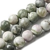 Natural Peace Jade Beads Strands G-E598-04B-1