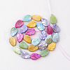 Natural Freshwater Shell Beads X-SHEL-Q008-06-2
