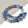 Natural Sodalite Beads Strands G-D316-B08-1