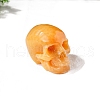 Natural Calcite Skull Display Decorations PW-WG91863-01-3