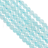 Olycraft 2 Strands Natural Amazonite Beads Strands G-OC0005-35-1