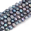 Natural Cultured Freshwater Pearl Beads Strands PEAR-P064-20B-02B-2