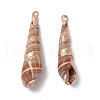 Electroplated Natural Cowrie Shell Pendants SHEL-F003-11-3