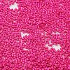 Baking Paint Glass Seed Beads SEED-S042-05B-68-3
