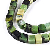 Natural Serpentine Beads Strands G-T140-36B-3