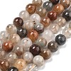 Natural Thousand Layer Lodolite Quartz Beads Strands G-M451-A01-10mm-2