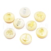 (Defective Closeout Sale) SHEL-XCP0001-01-1